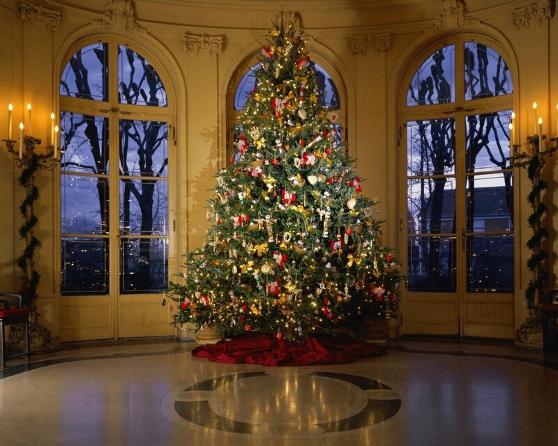 Christmas Tree in Hall — Green