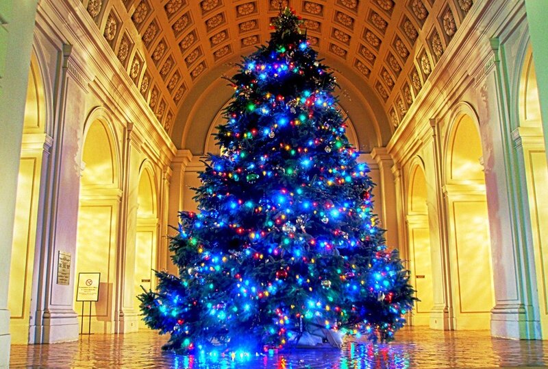 Christmas Tree in Hall