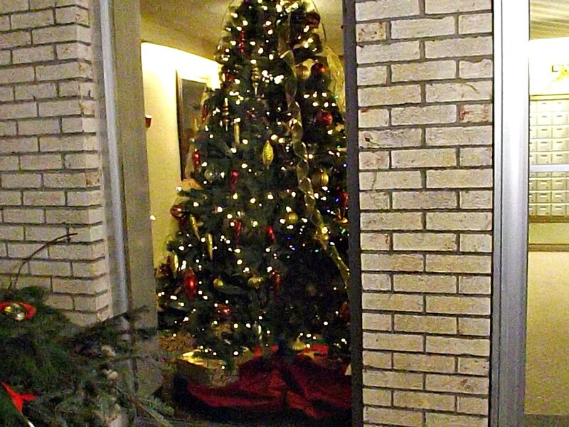 Christmas Tree in Hallway