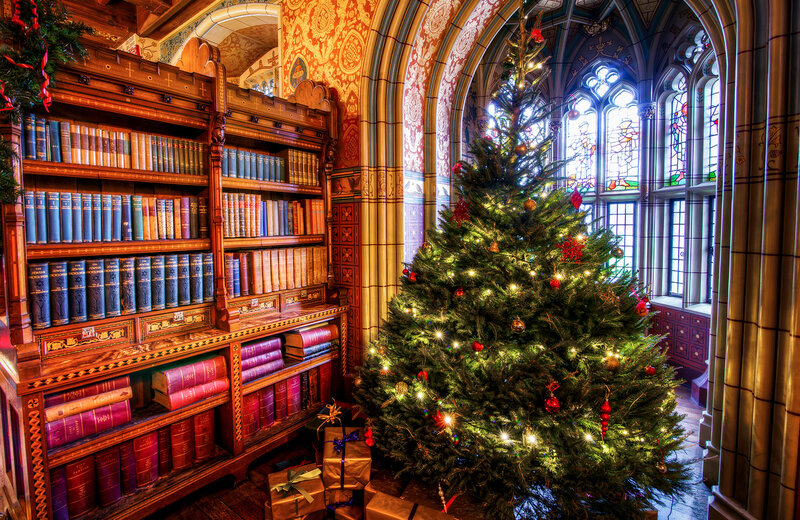 Christmas Tree in Library — Green, Festive