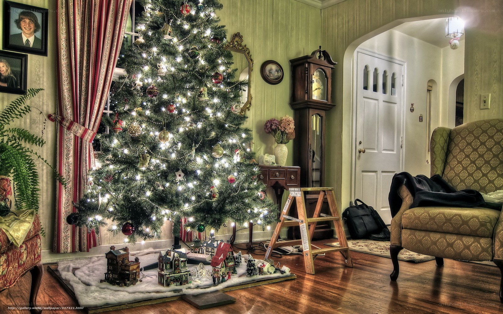 Christmas tree in living room