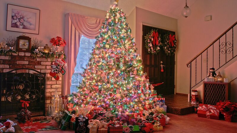 Christmas tree in living room