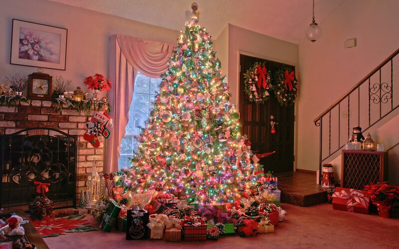 Christmas tree in living room