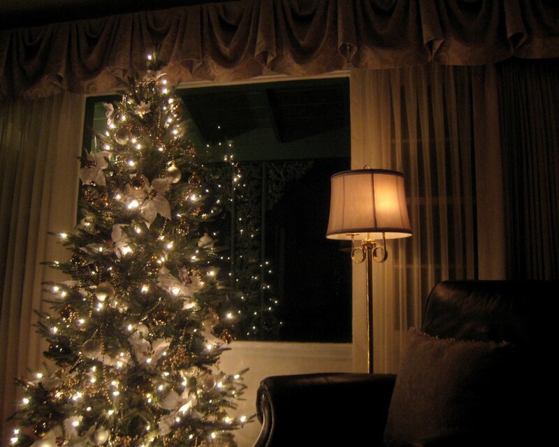 Christmas tree in living room