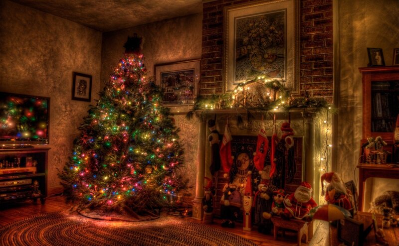 Christmas Tree in Living Room — Brown, Cozy, Winter, Photograph
