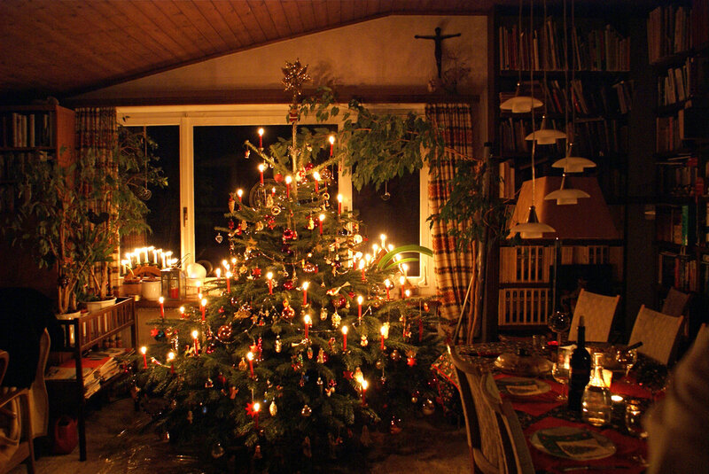 Christmas Tree in Living Room — Green, Cozy