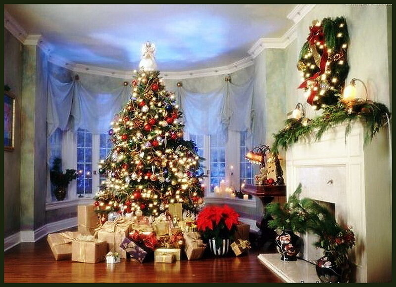 Christmas Tree in Living Room — Green, Festive