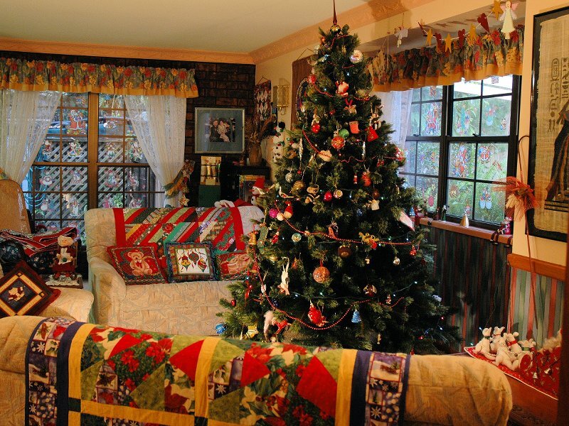 Christmas Tree in Living Room — Green, Festive, Winter, Photograph