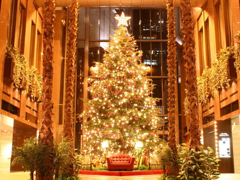Christmas Tree in Lobby