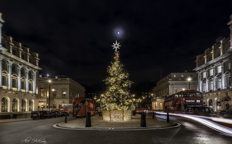 Christmas Tree in London