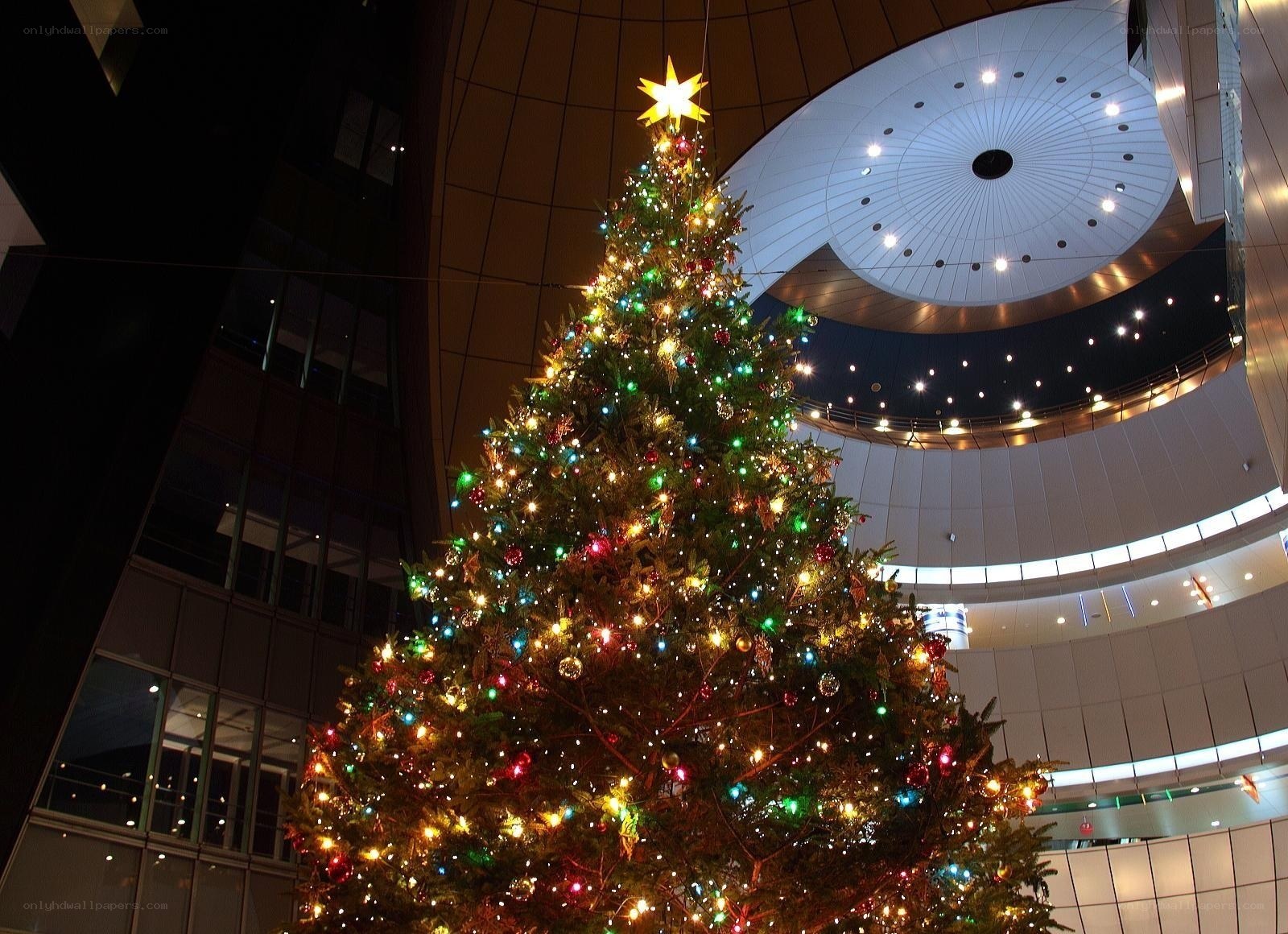 Christmas tree in modern building