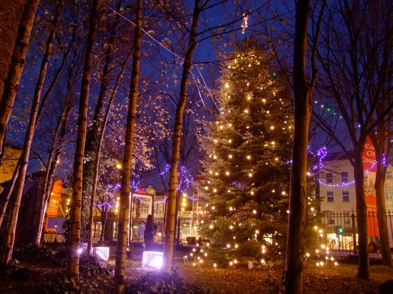 Christmas Tree in Park