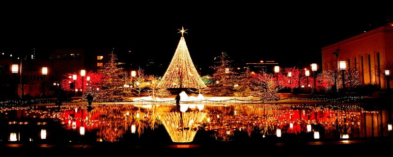 Christmas Tree in Plaza — Red, Festive, Night