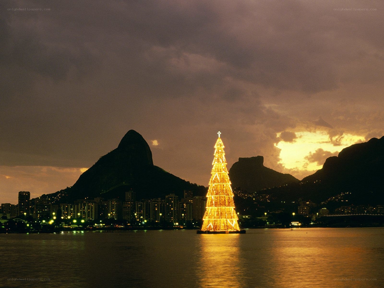 Christmas tree in Rio de Janeiro
