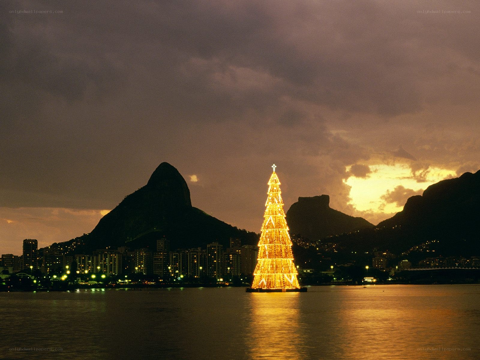 Christmas tree in Rio de Janeiro