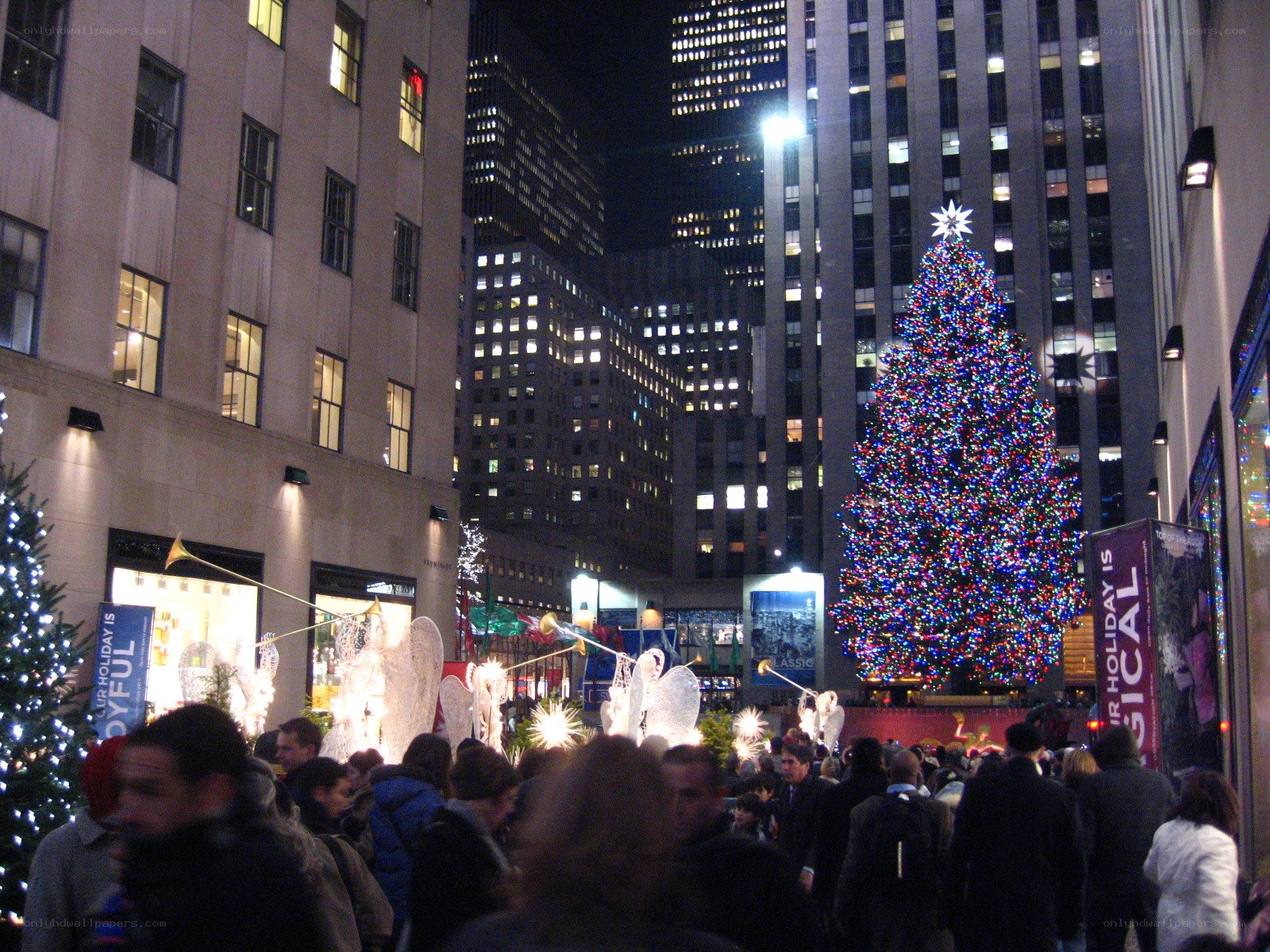 Christmas tree in Rockefeller Center