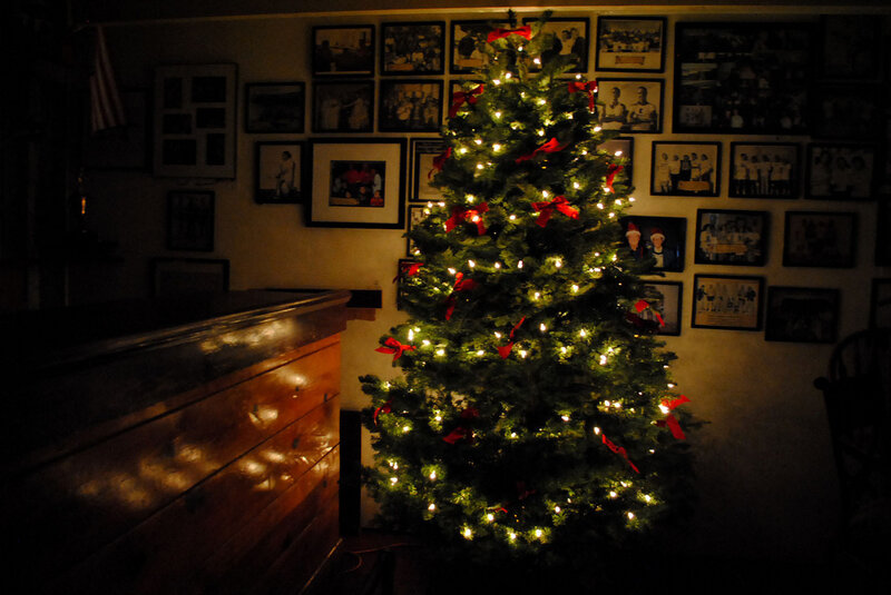 Christmas Tree in Room — Green