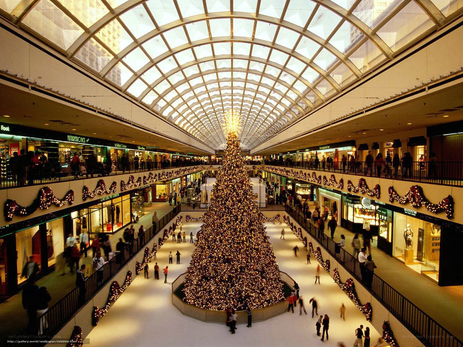 Christmas tree in shopping mall