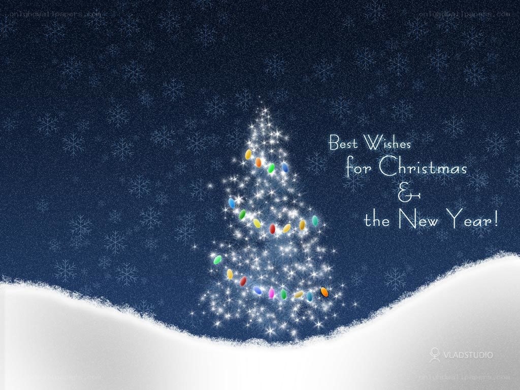 Christmas tree in snow