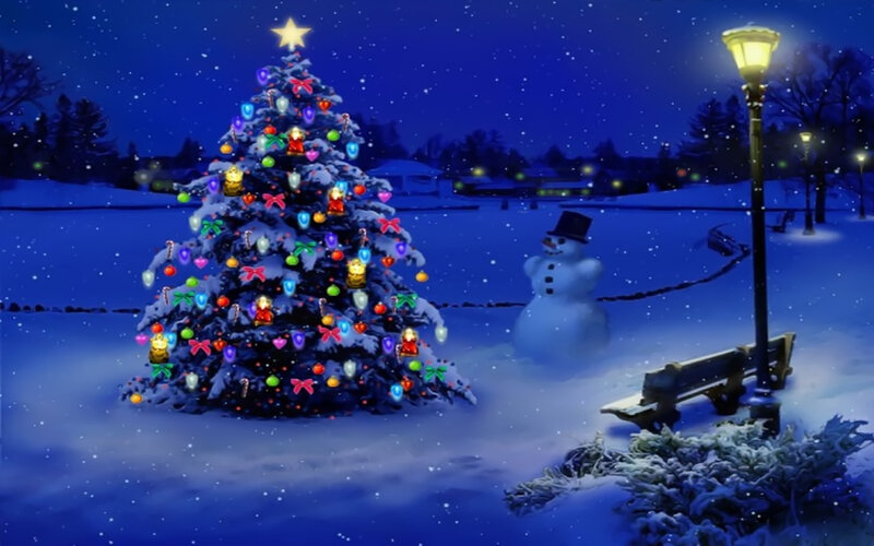 Christmas Tree in Snow — Blue, Peaceful, Night