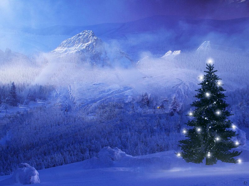 Christmas Tree in Snow — Blue, Serene, Winter