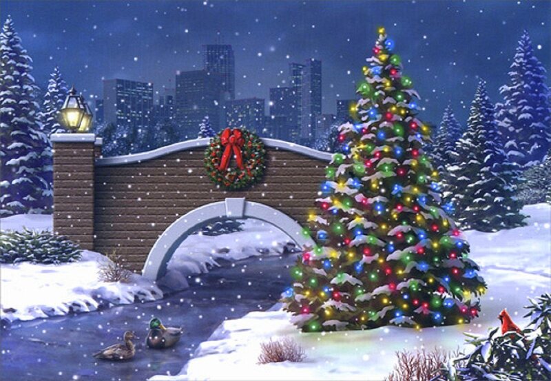 Christmas Tree in Snow — Green, Festive, Night