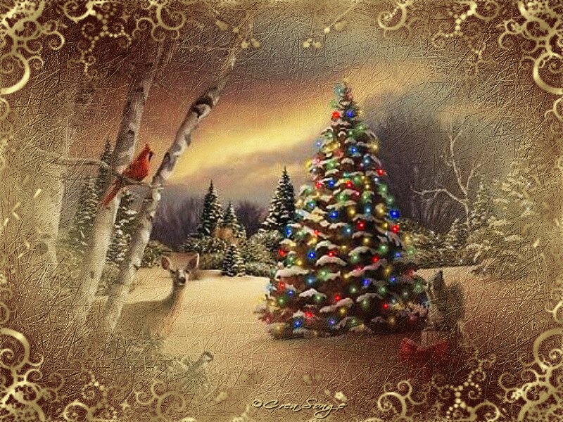 Christmas Tree in Snow — Green, Serene, Winter
