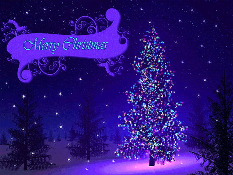 Christmas Tree in Snow — Purple, Festive