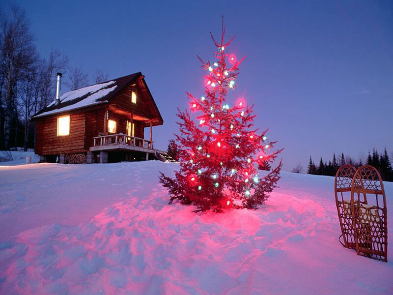 Christmas Tree in Snow — Red