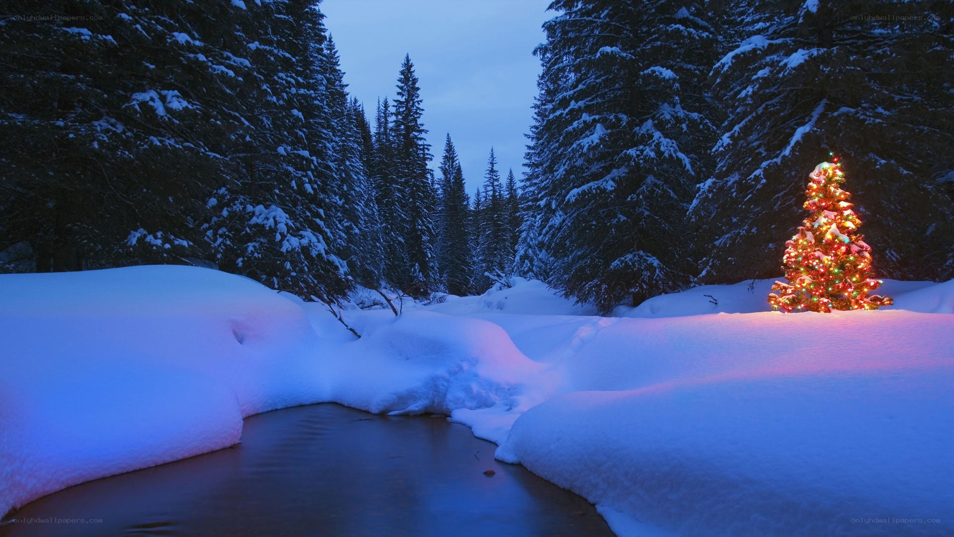 Christmas tree in snowy forest