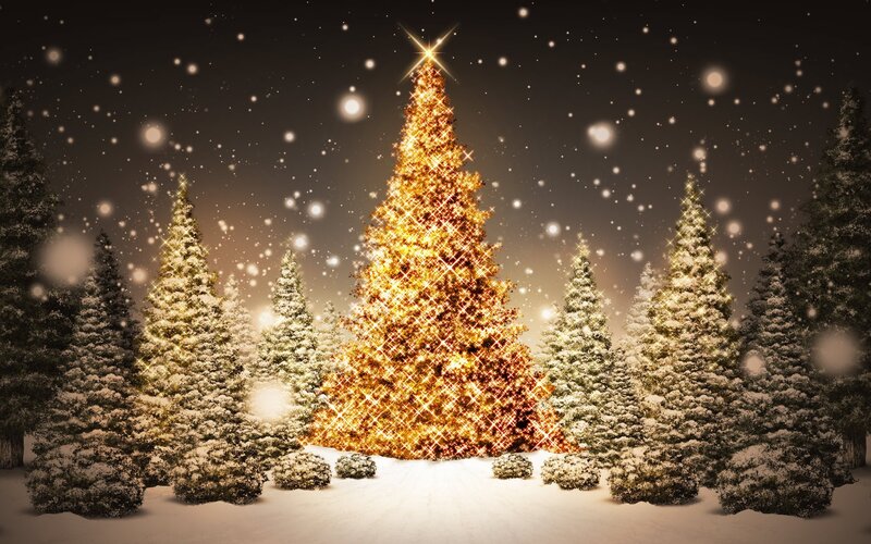Christmas tree in snowy forest