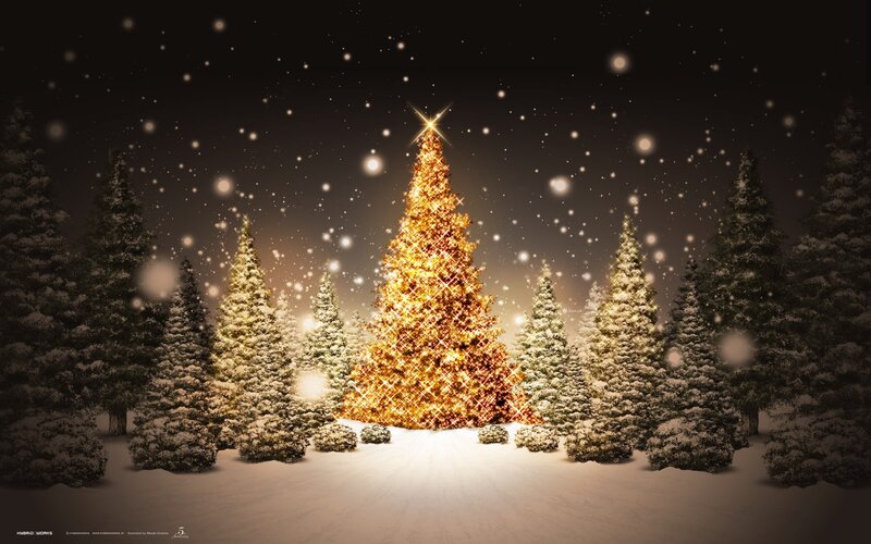 Christmas tree in snowy forest