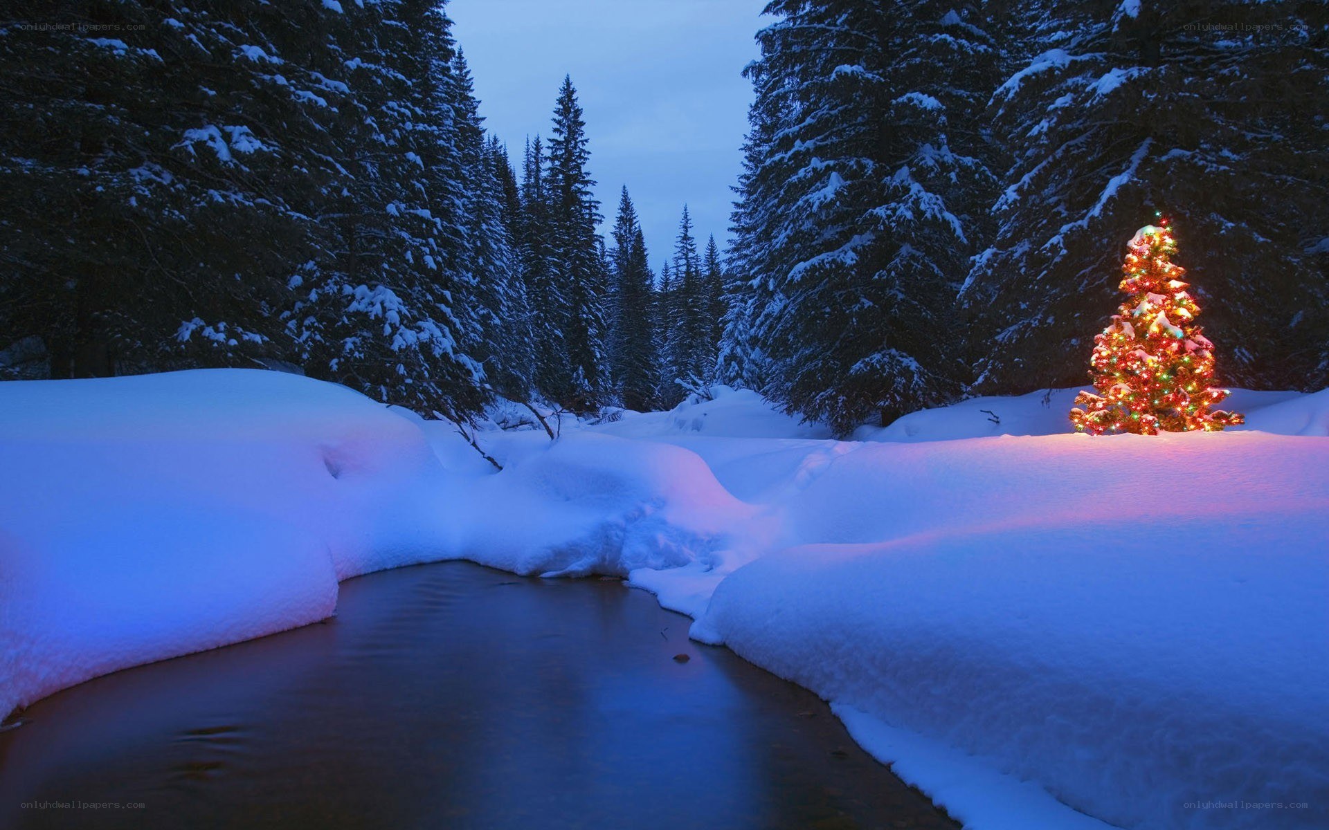Christmas tree in snowy forest