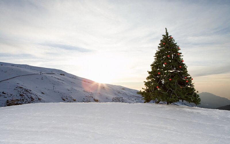 Christmas tree in snowy mountains