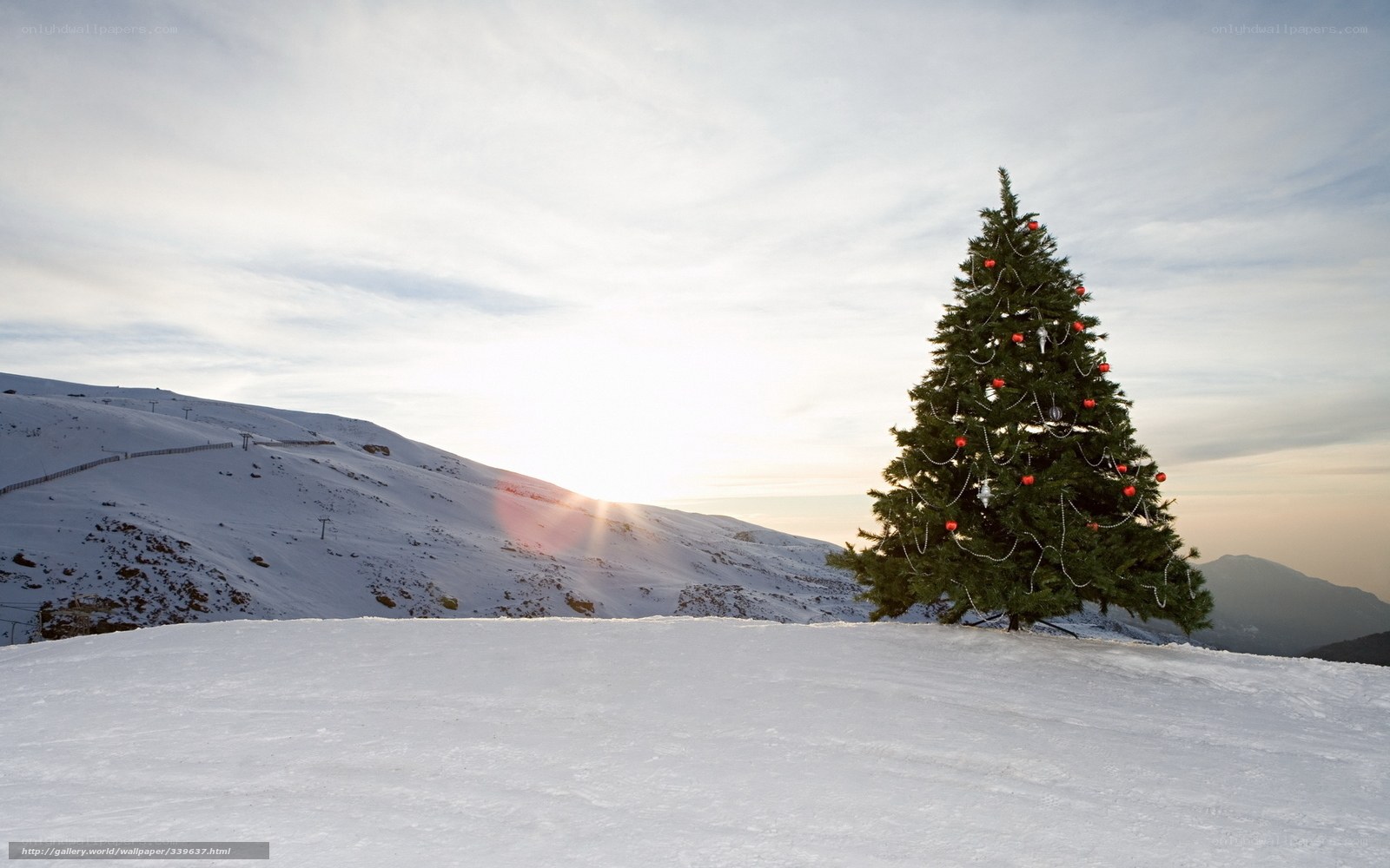 Christmas tree in snowy mountains