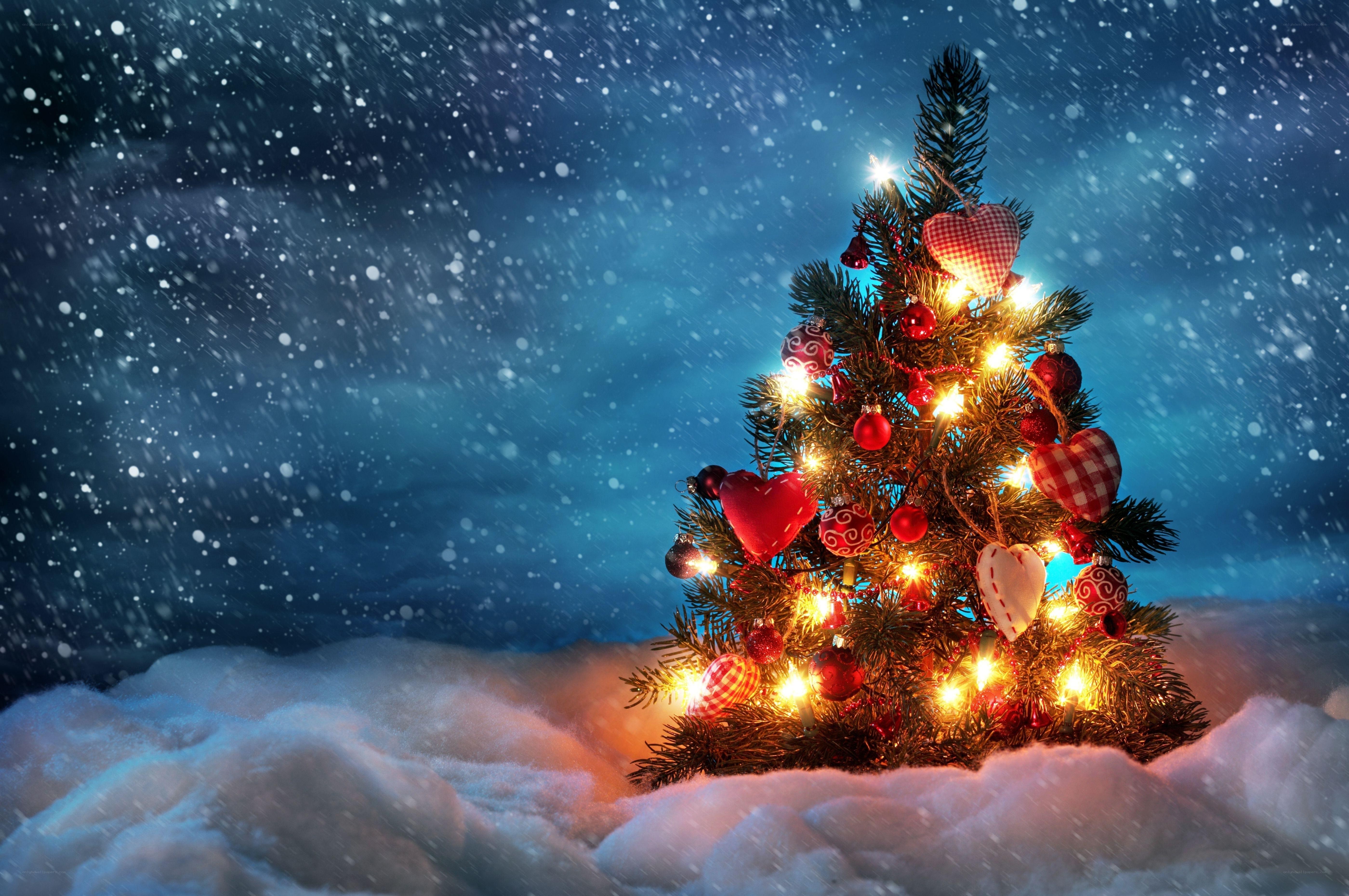 Christmas tree in snowy night