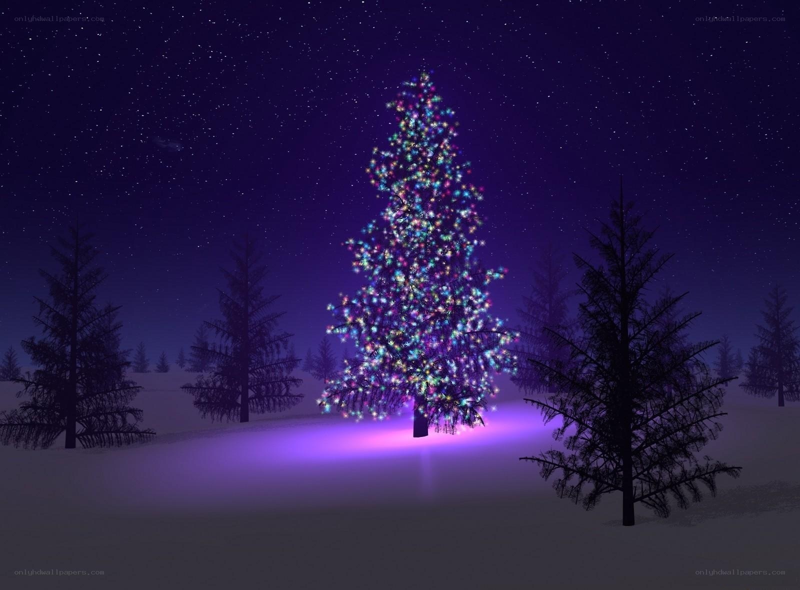 Christmas tree in snowy night