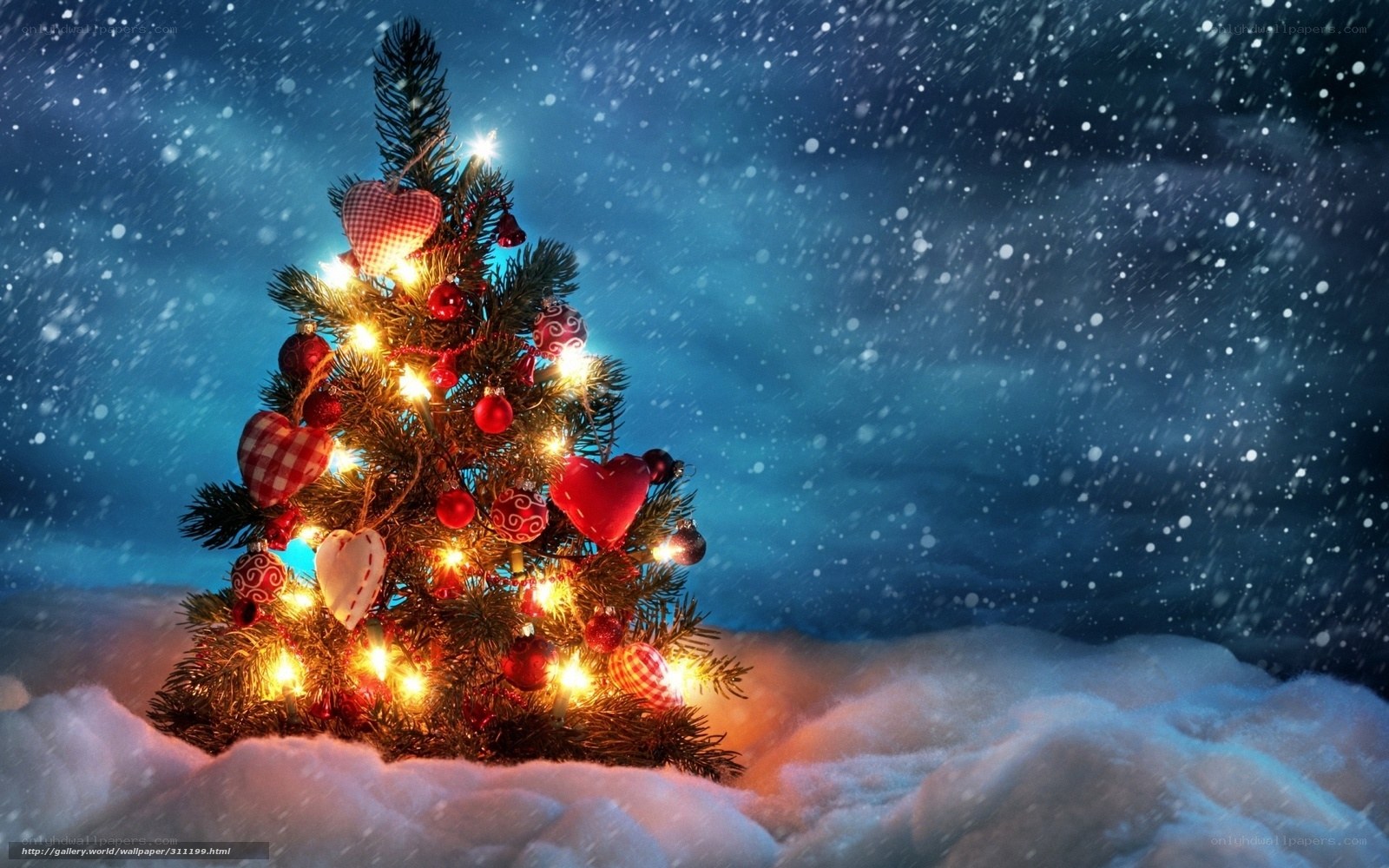 Christmas tree in snowy night
