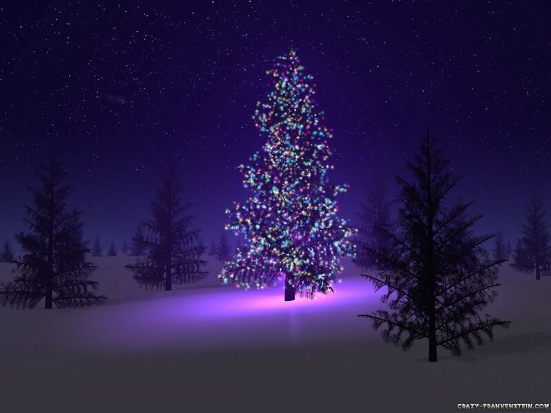 Christmas tree in snowy night