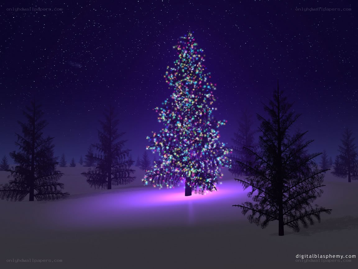 Christmas tree in snowy night