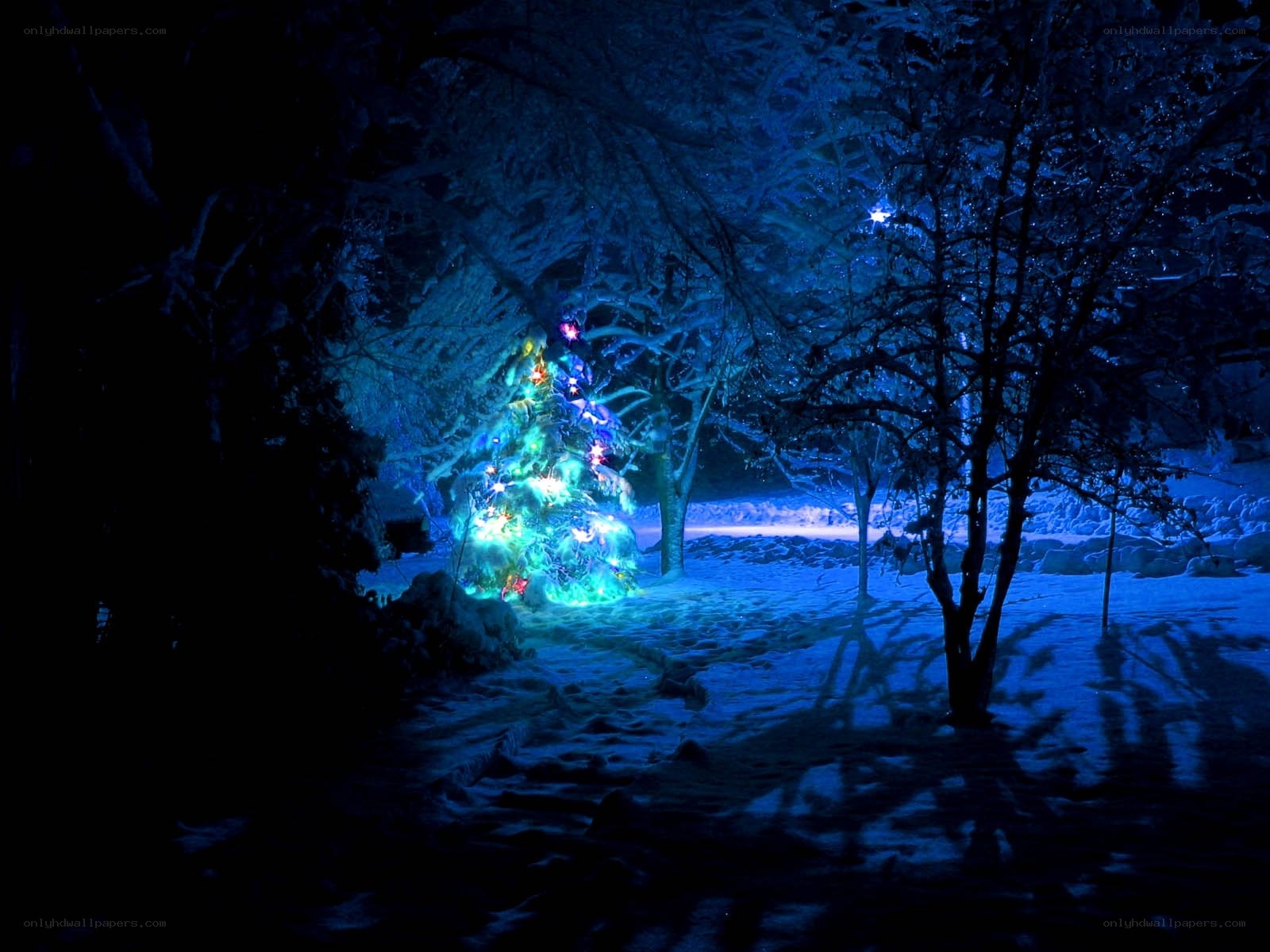 Christmas tree in snowy night