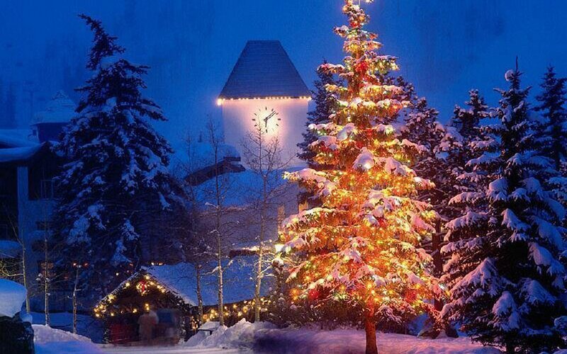 Christmas tree in snowy village