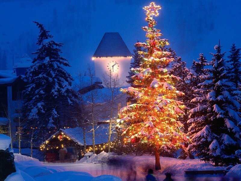 Christmas tree in snowy village