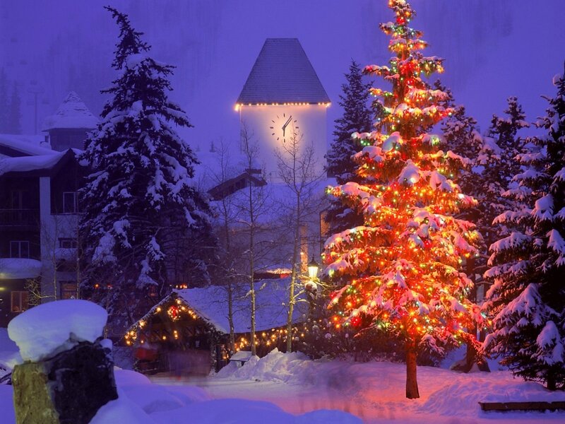 Christmas tree in snowy village