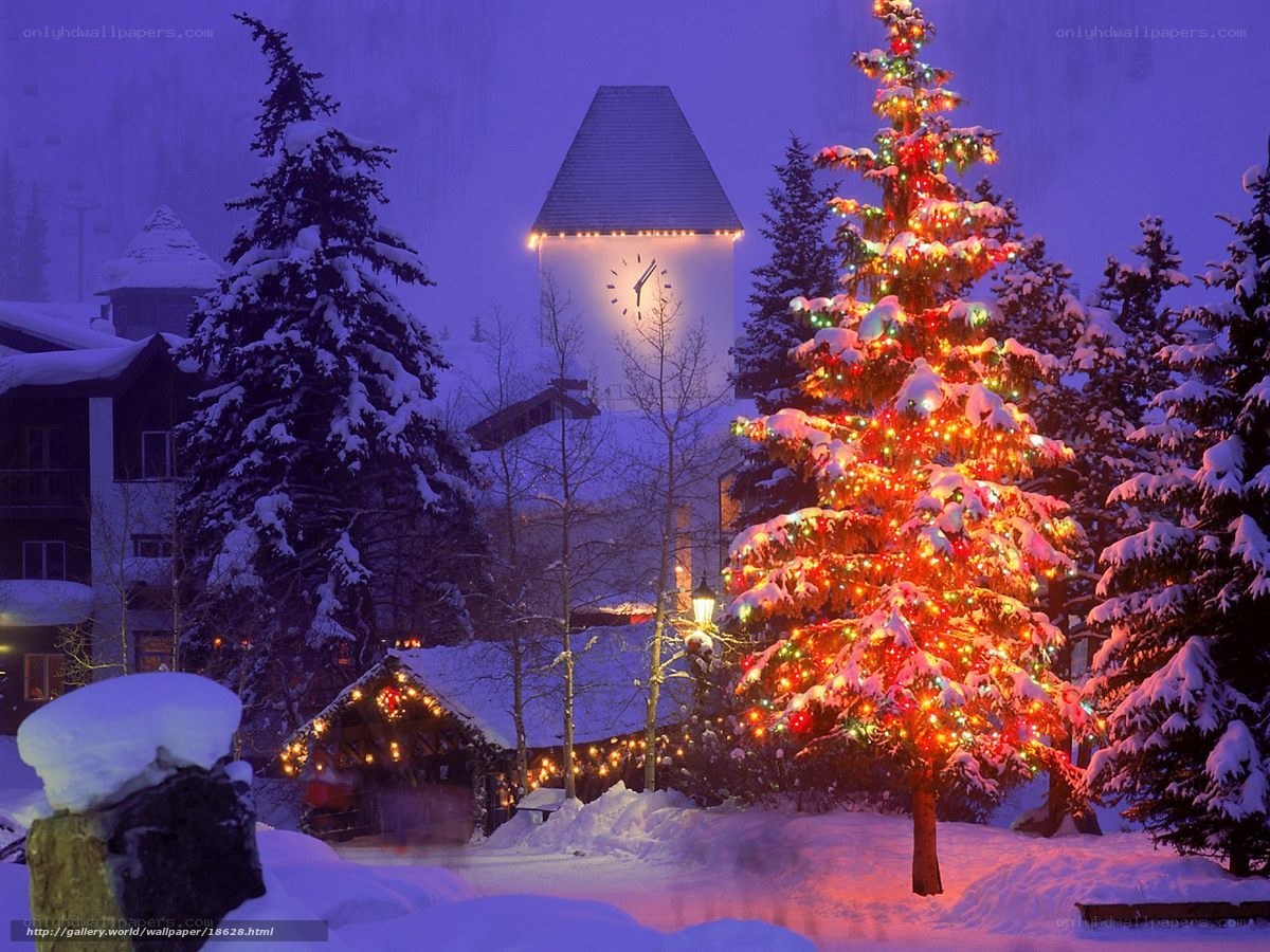 Christmas tree in snowy village