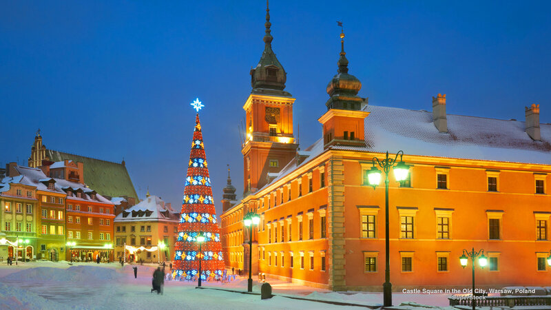 Christmas Tree in Square — Blue
