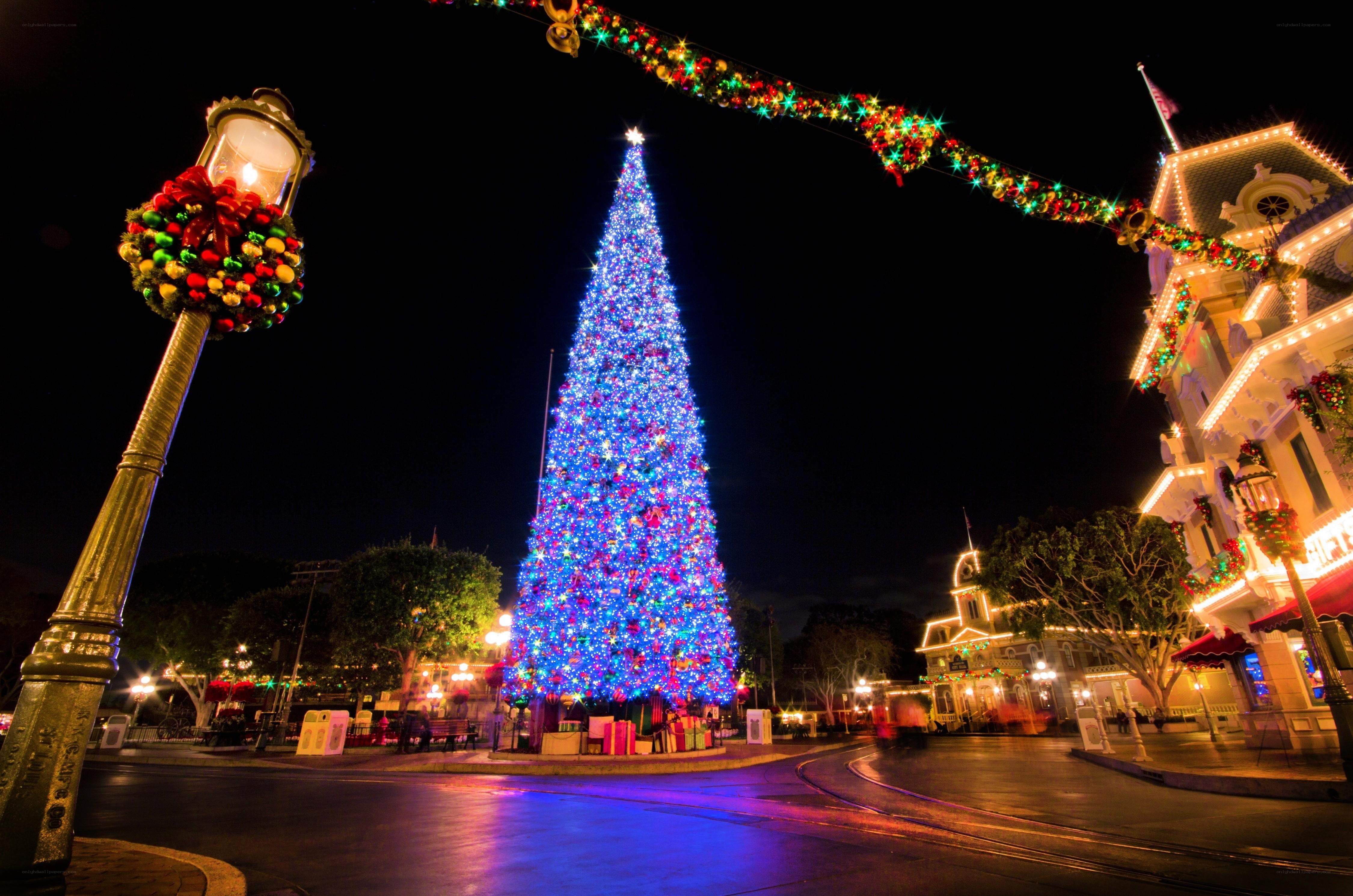 Christmas tree in theme park