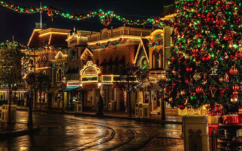 Christmas Tree in Town — Green, Festive, Night