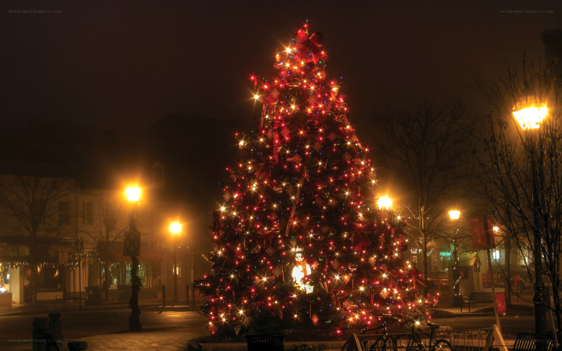 Christmas tree in town square