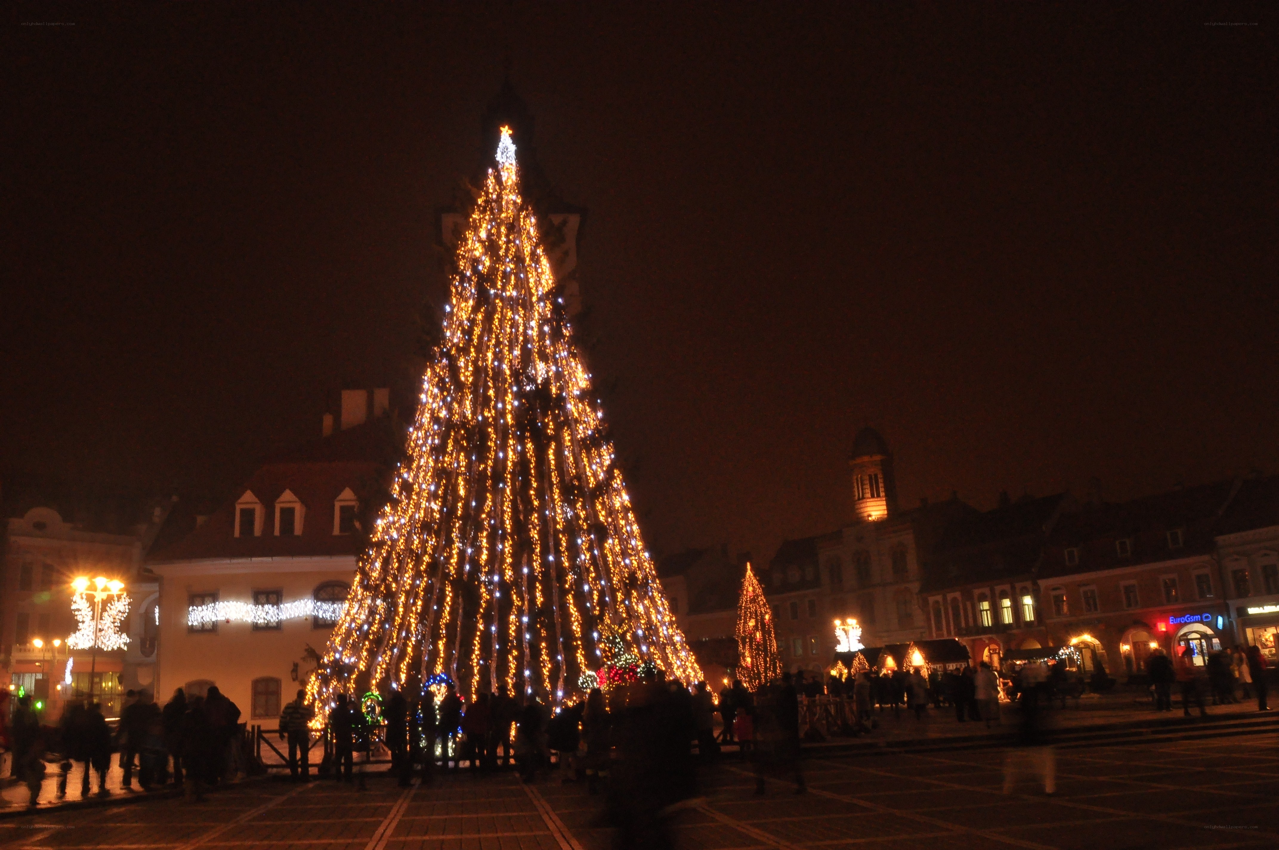 Christmas tree in town square